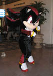 Shadow the hedgehog