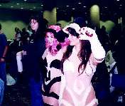 Scantily Clad Catgirls