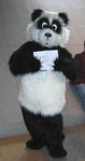 a panda